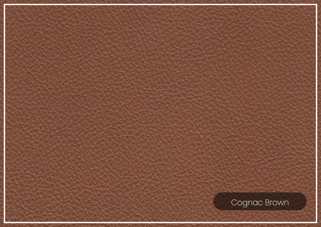 Hydeline Soma Stationary Top Grain Leather Sofa in Brown