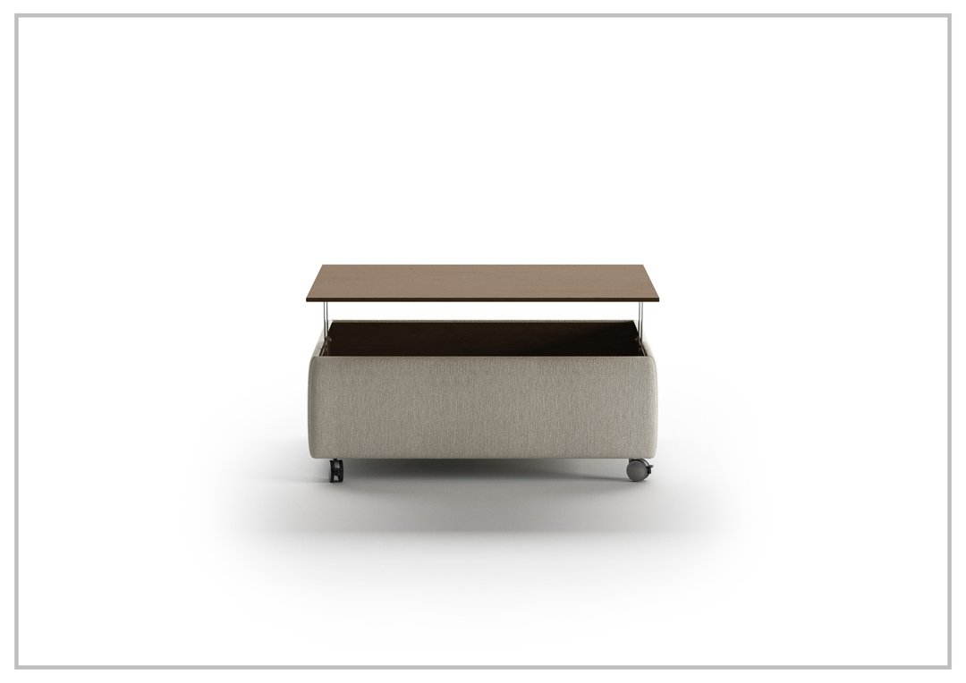 Functional Coffee Table with Casters-SOFABED