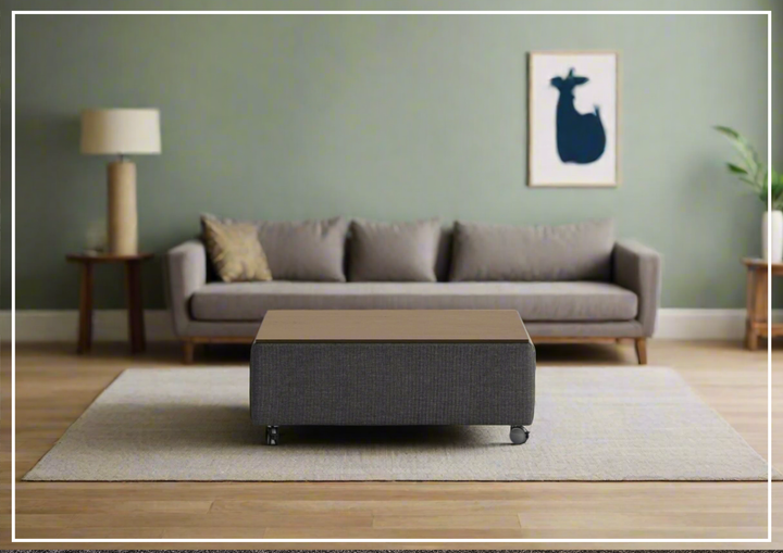 Functional Coffee Table with Casters-SOFABED