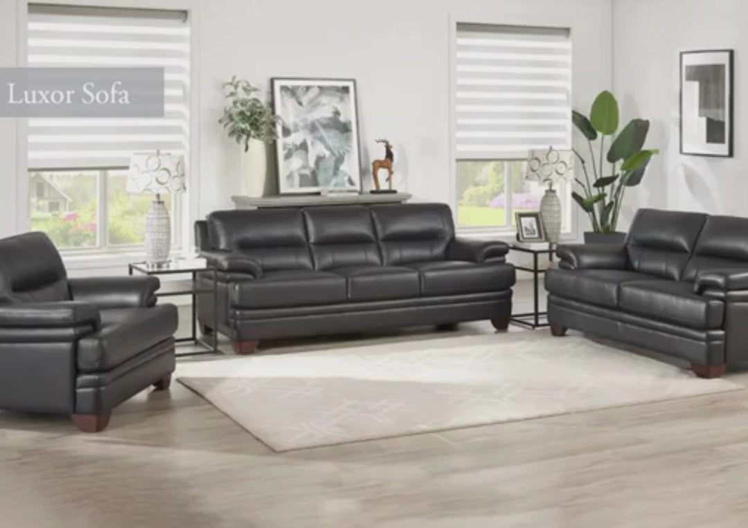 Hydeline Luxor Stationary Premium Leather Loveseat Sofa